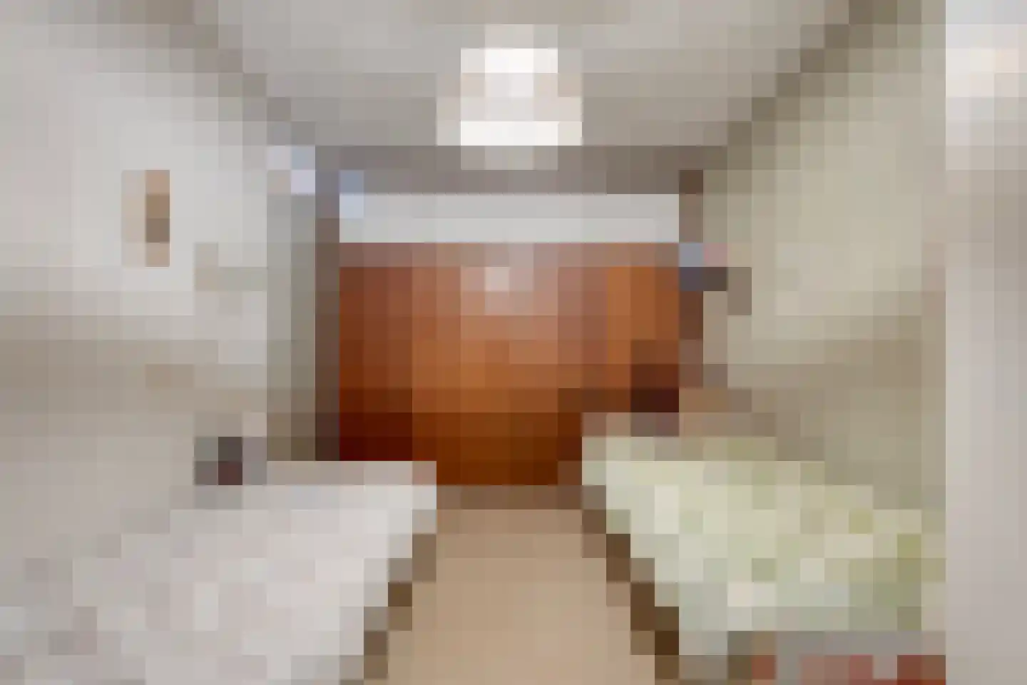 Jan Jansstraat 23 Losser thumbnail 13