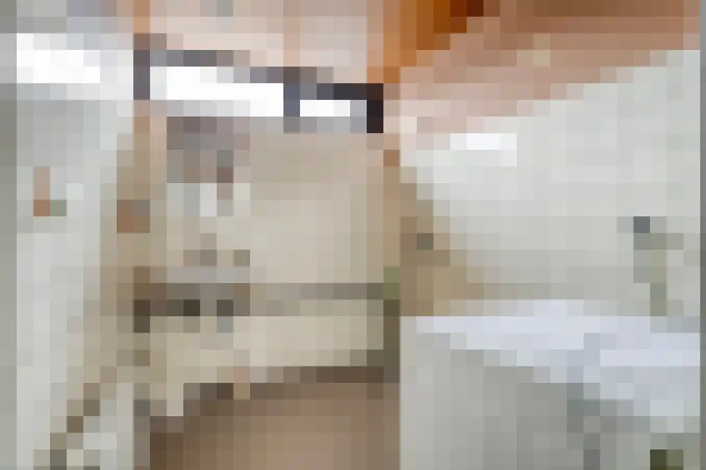 Jan Jansstraat 23 Losser thumbnail 15