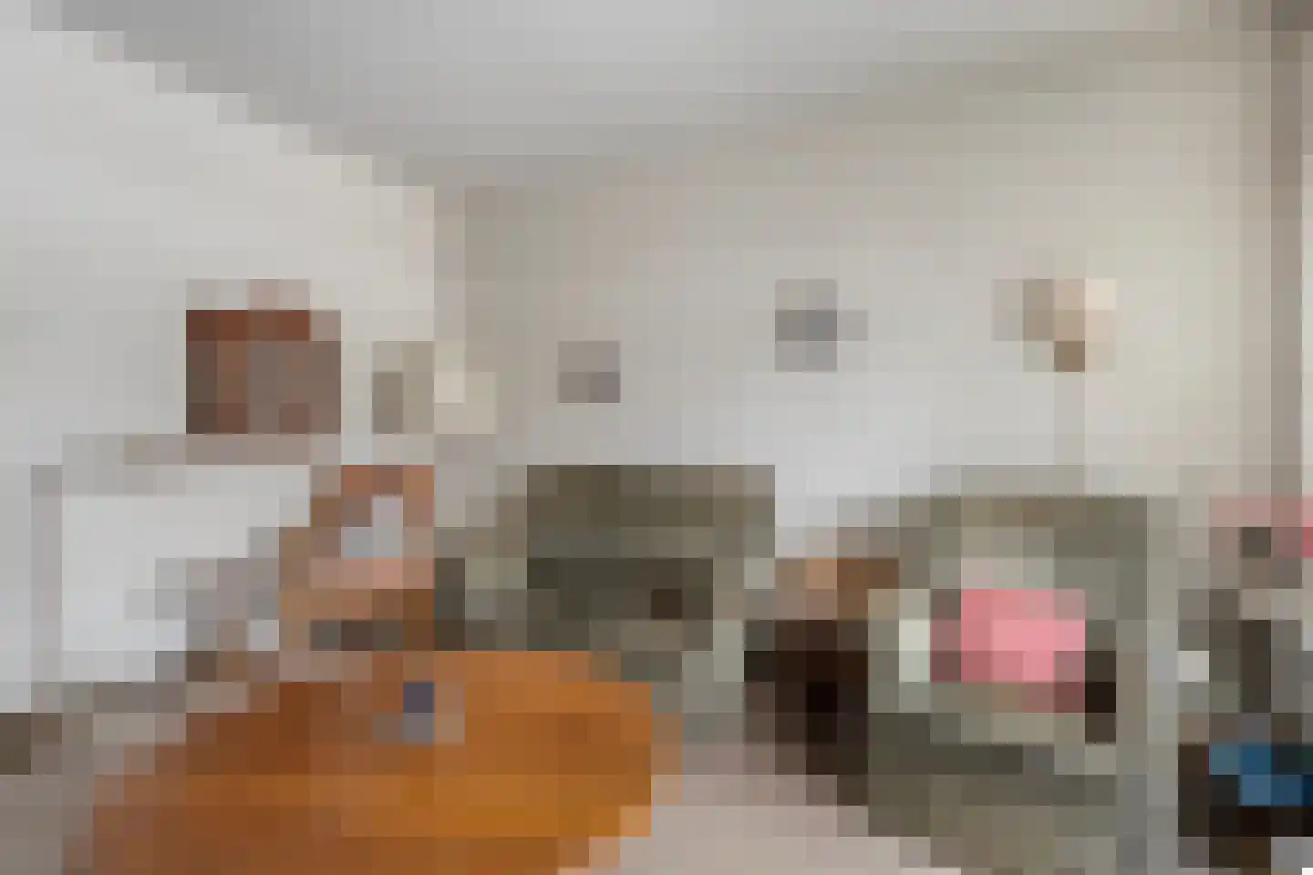 Jan Jansstraat 23 Losser thumbnail 6