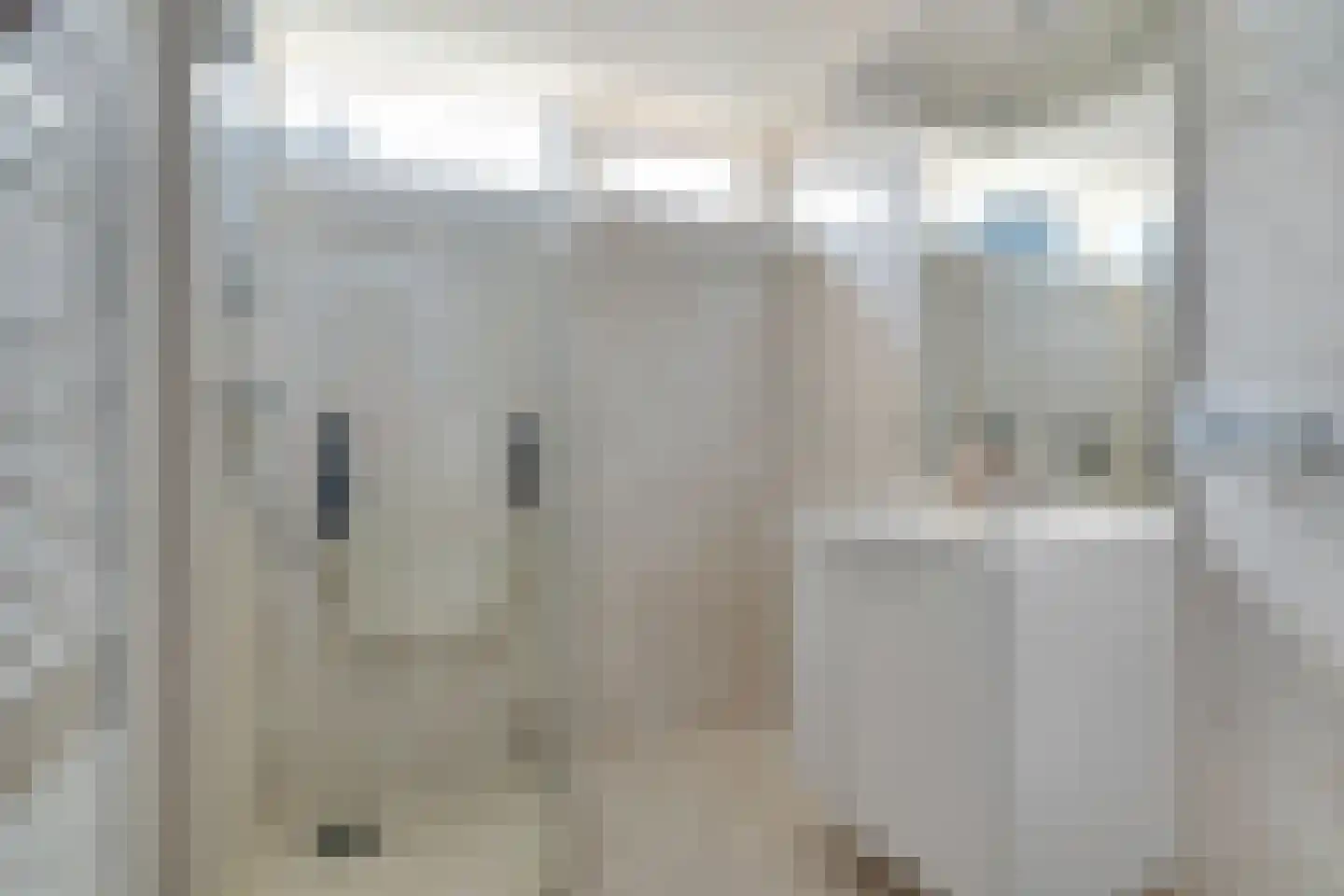 Jan Jansstraat 29 Losser thumbnail 19