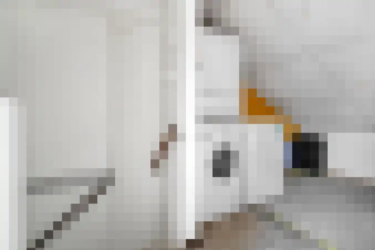 Jan Jansstraat 29 Losser thumbnail 25