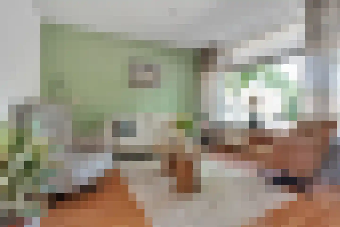 Jan Jansstraat 29 Losser thumbnail 5