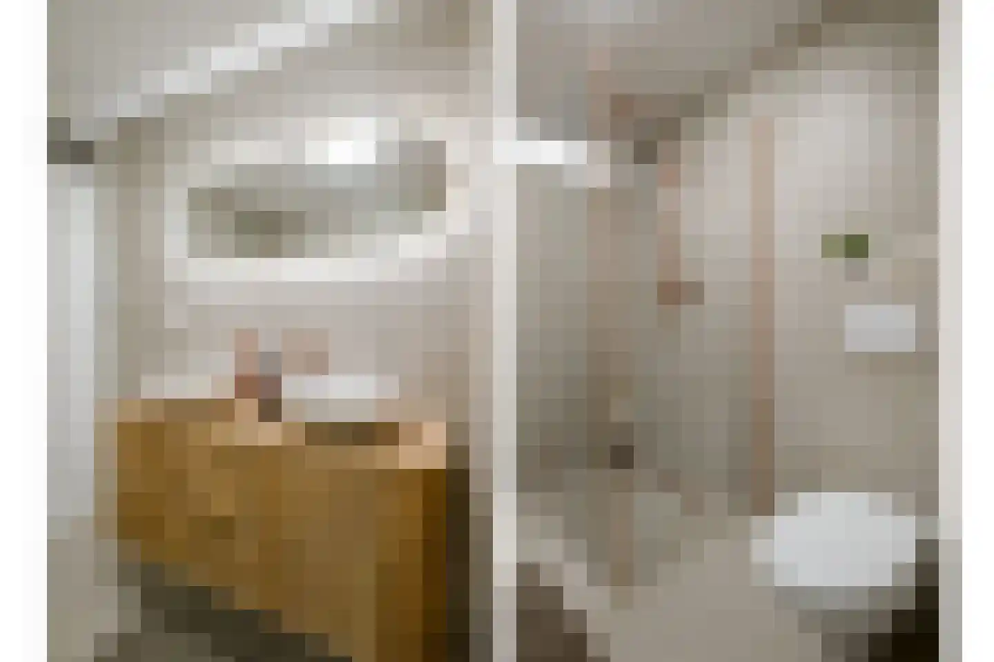 Jan Jansstraat 39 Losser thumbnail 22