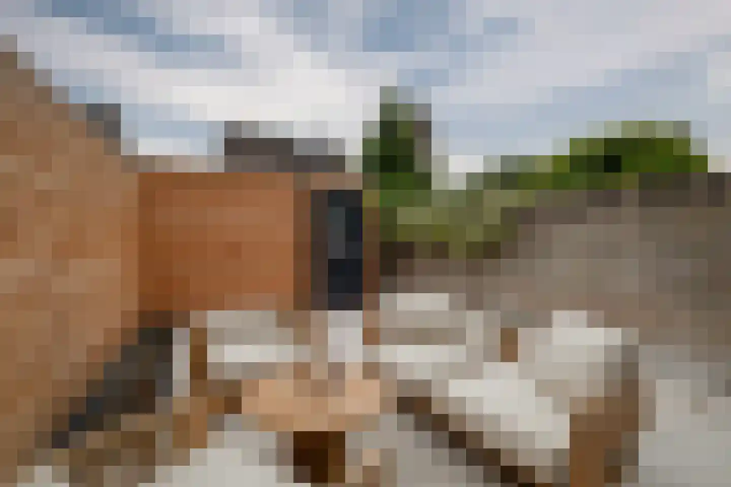 Jan Jansstraat 39 Losser thumbnail 27