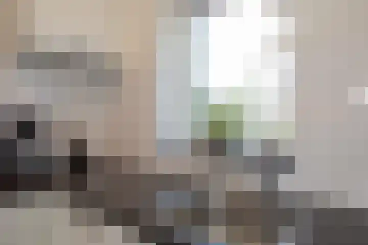 Jan Jansweg 90 d Wierden thumbnail 10