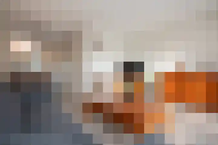Jan Jansweg 90 d Wierden thumbnail 16