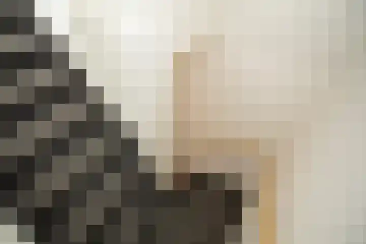 Jan Jansweg 90 d Wierden thumbnail 28