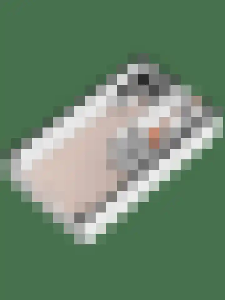 Jan Jansweg 90 d Wierden thumbnail 45
