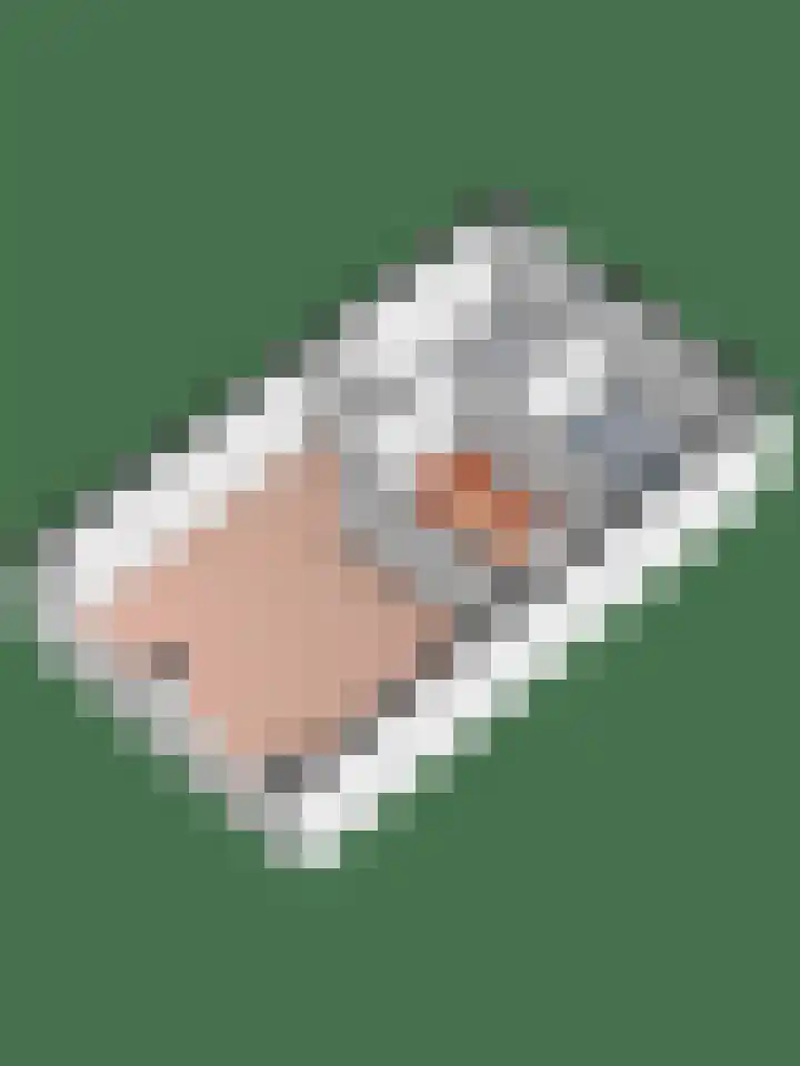 Jan Jansweg 90 d Wierden thumbnail 47