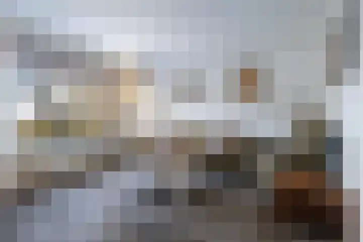 Jan Jelles Hofleane 103 Leeuwarden thumbnail 13