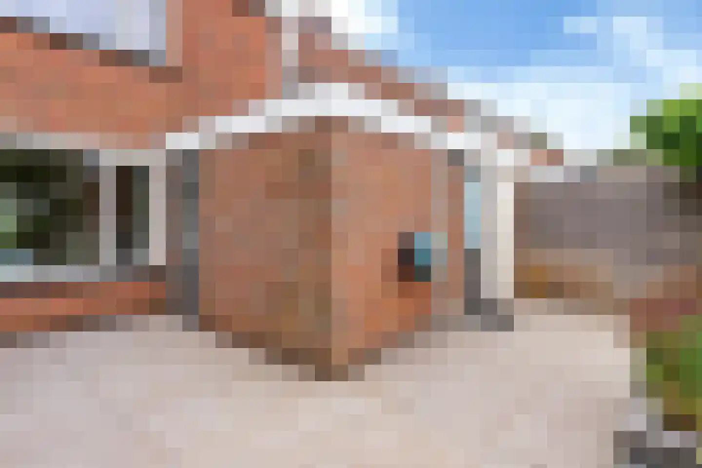 Jan Jelles Hofleane 121 Leeuwarden thumbnail 13