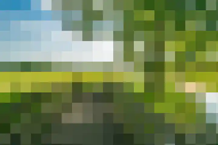 Jan Jelles Hofleane 99 Leeuwarden thumbnail 56