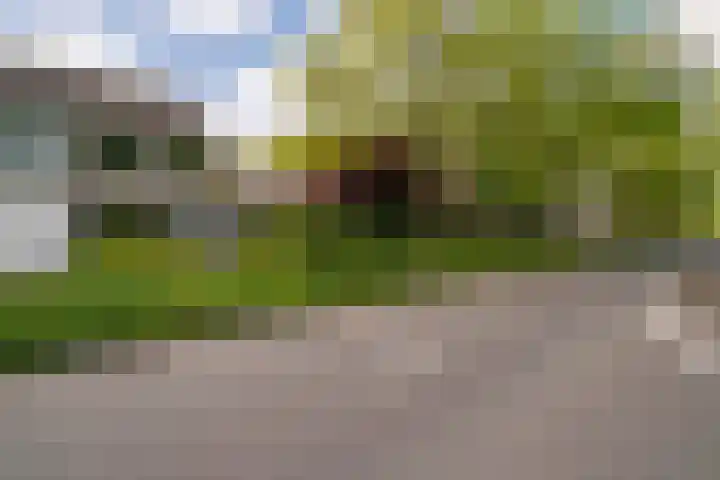 Jan Jelles Hofleane 99 Leeuwarden thumbnail 8