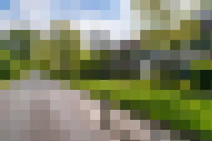 Jan Jelles Hofleane 99 Leeuwarden thumbnail 9