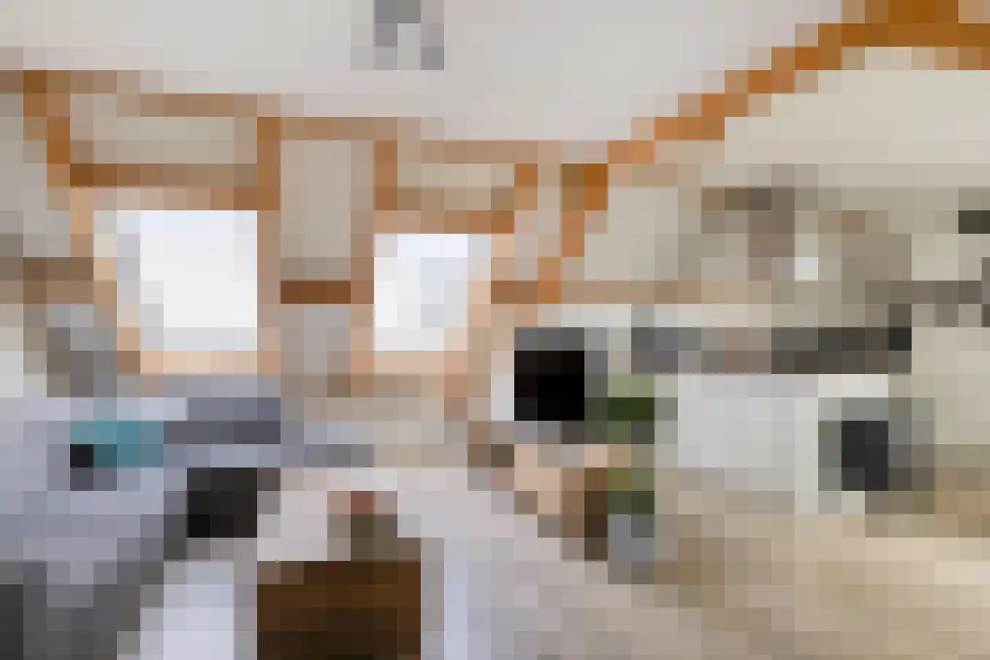 Jan Joostenstraat 44 Angeren thumbnail 11