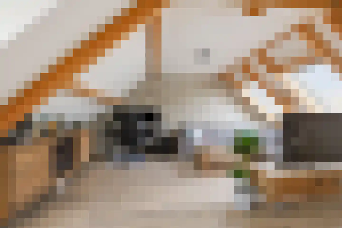 Jan Joostenstraat 44 Angeren thumbnail 12