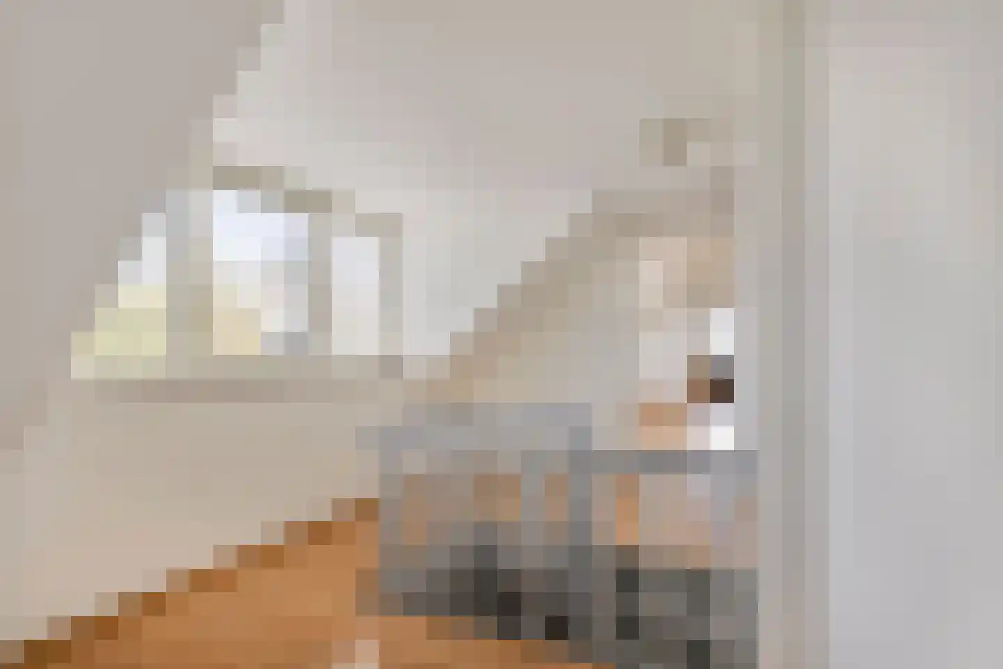 Jan Joostenstraat 44 Angeren thumbnail 36