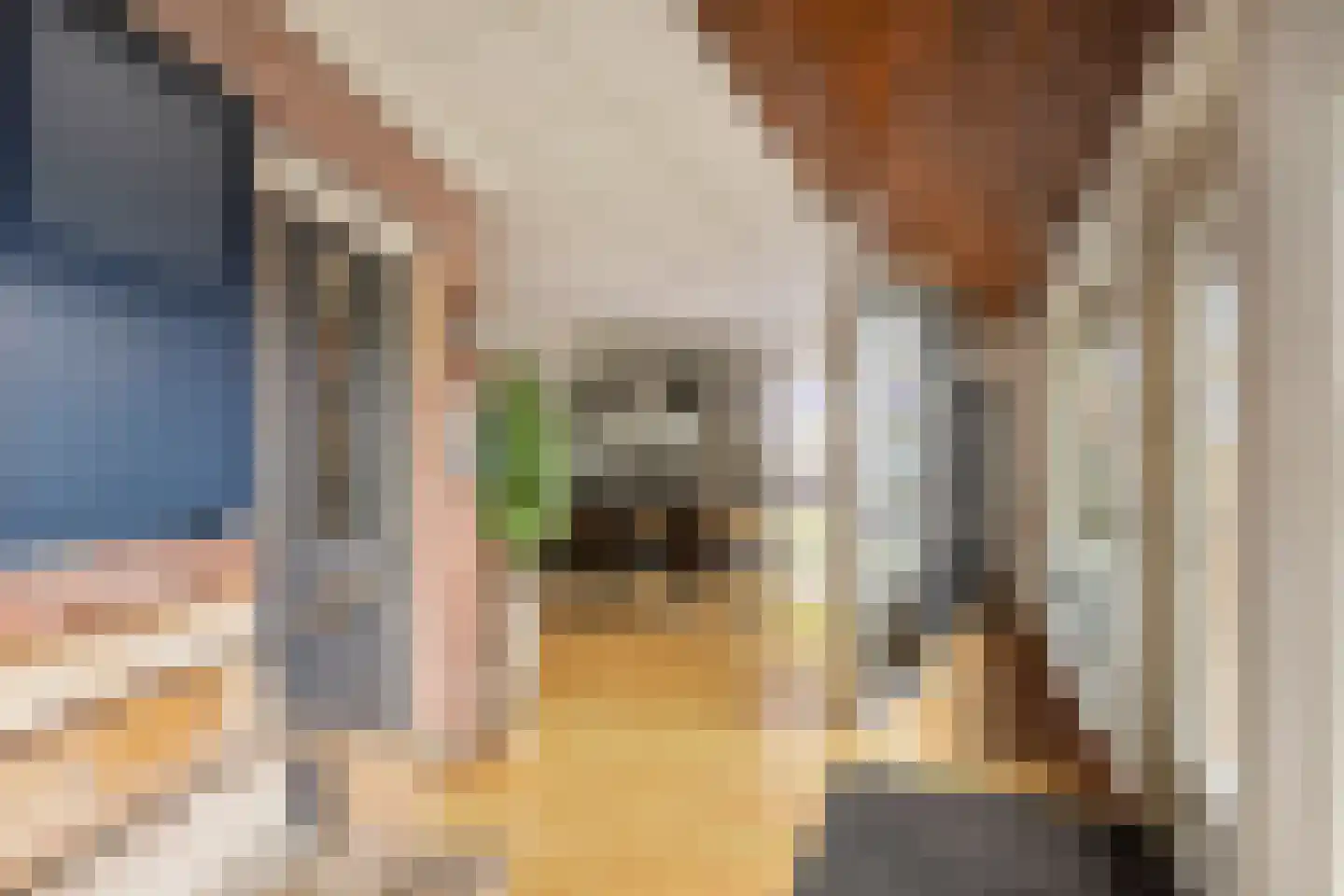 Jan Joostenstraat 44 Angeren thumbnail 5