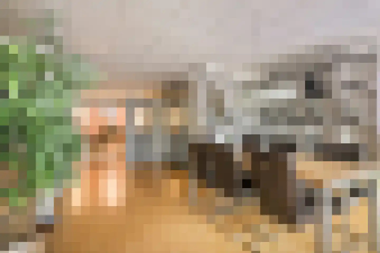Jan Joostenstraat 44 Angeren thumbnail 6