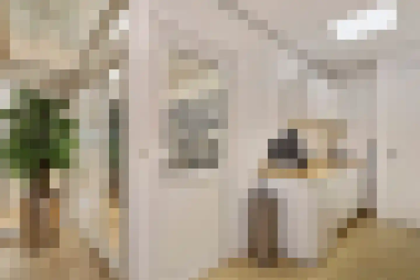 Jan Joostenstraat 44 Angeren thumbnail 8