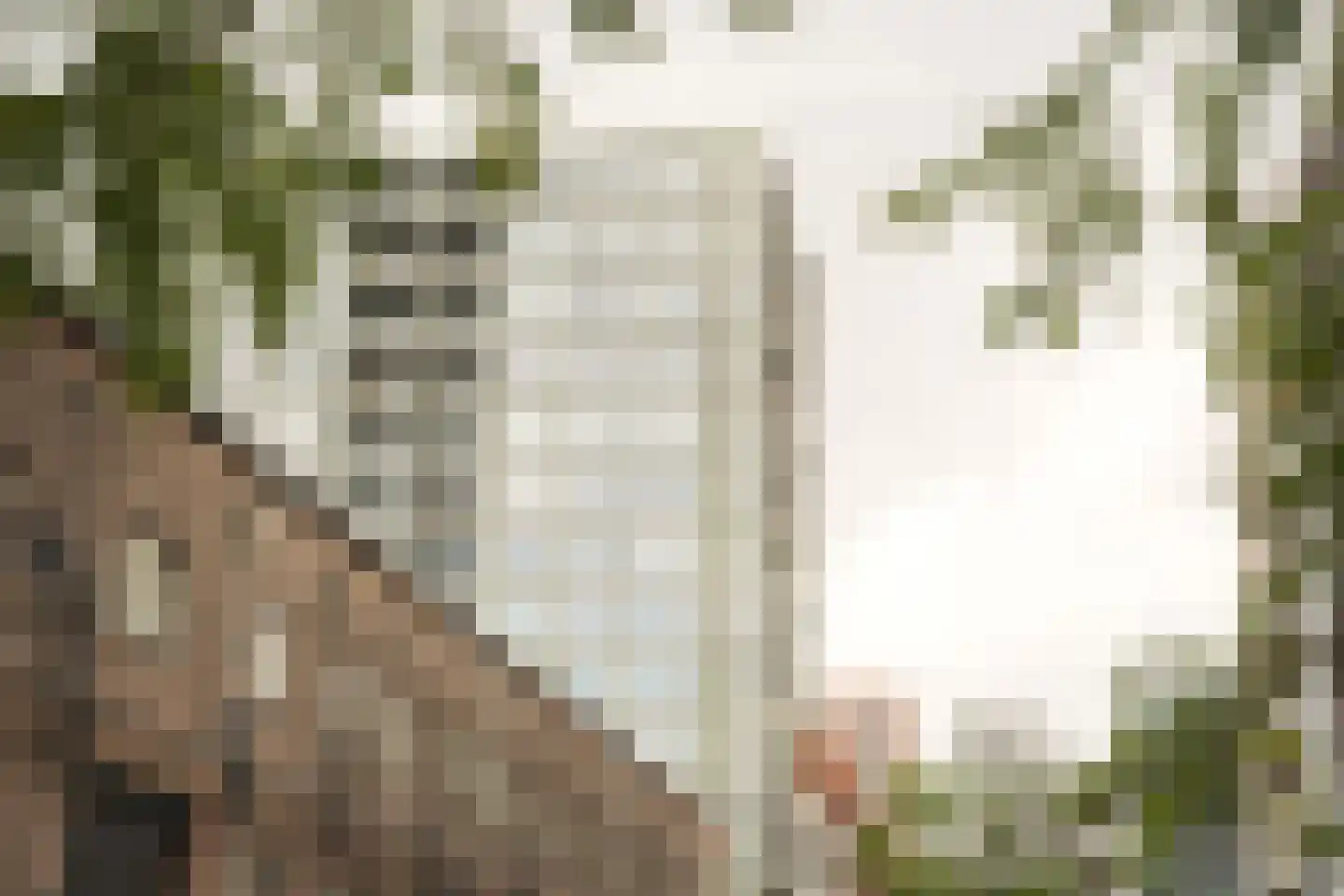 Jan Kiststraat 203 Amsterdam thumbnail 35