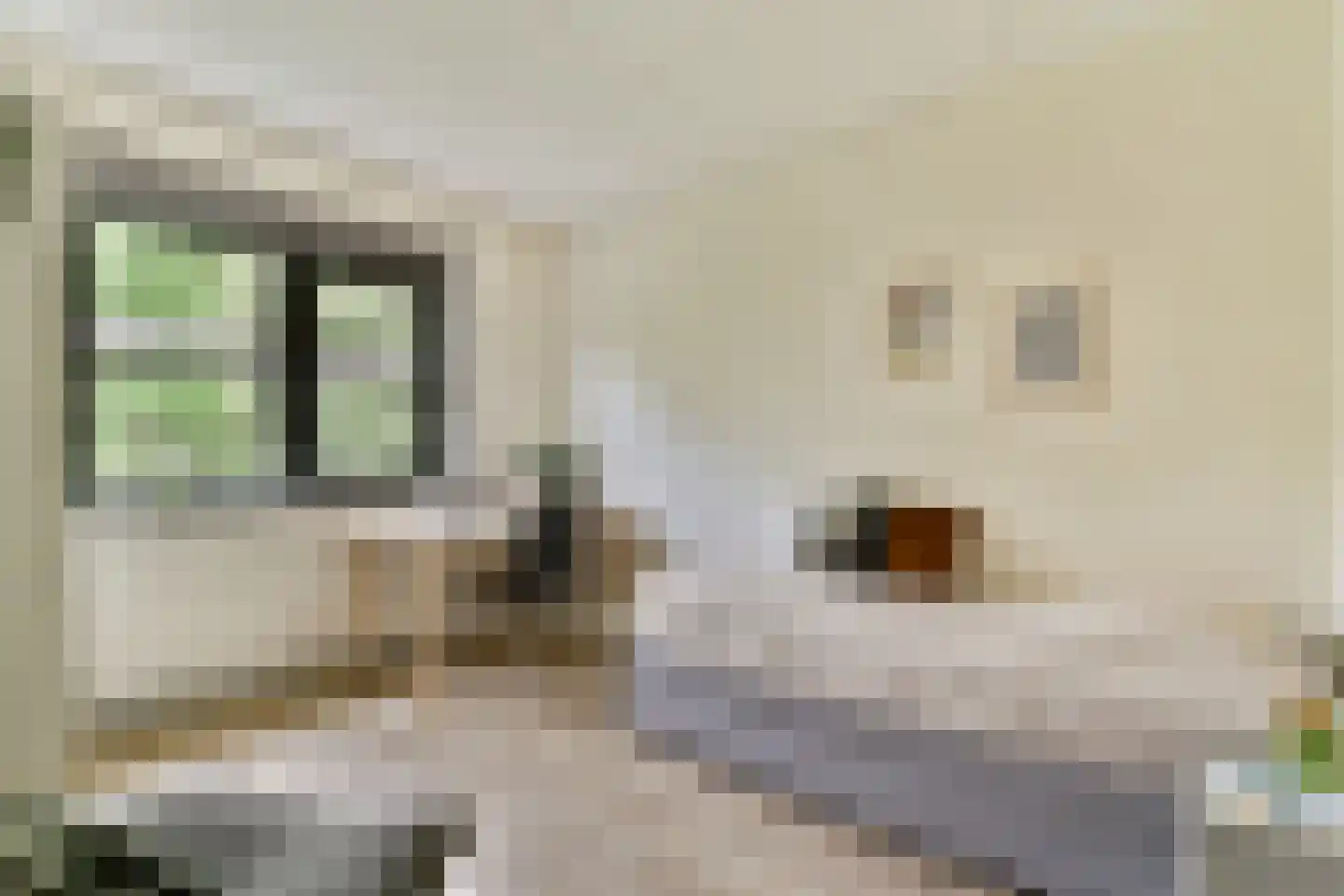 Jan Kleingeldstraat 58 Rotterdam thumbnail 14