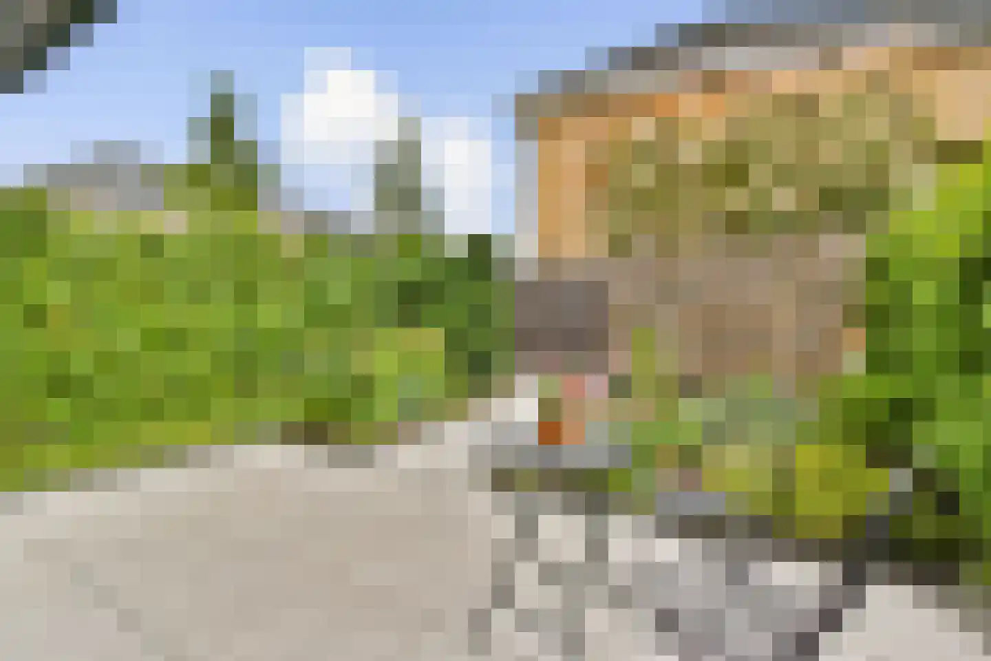 Jan Kleingeldstraat 58 Rotterdam thumbnail 4
