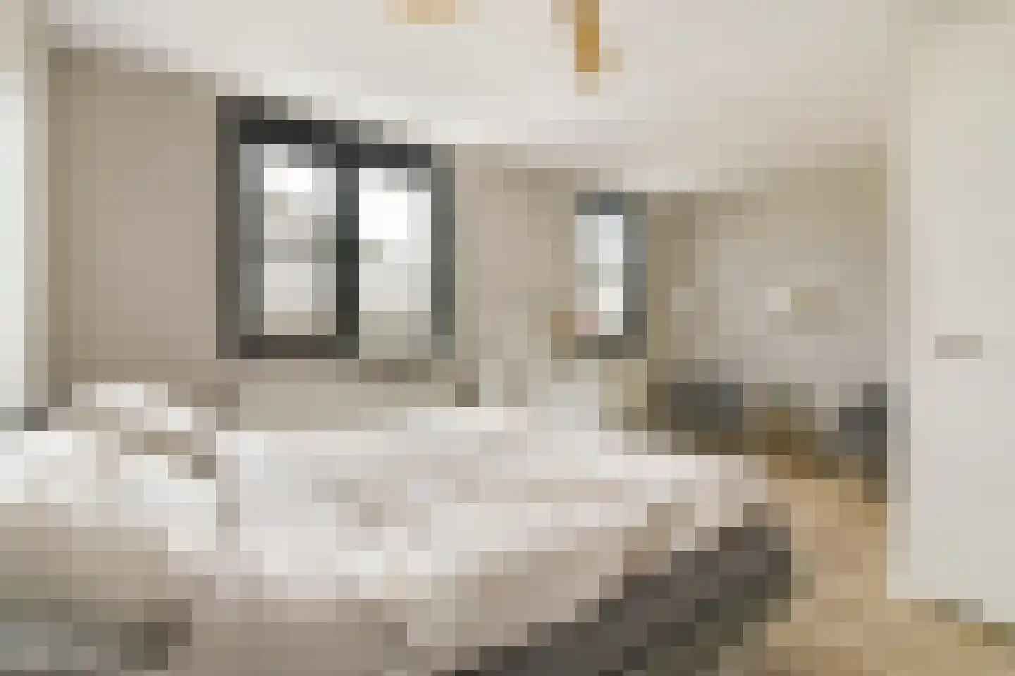Jan Kleingeldstraat 58 Rotterdam thumbnail 5