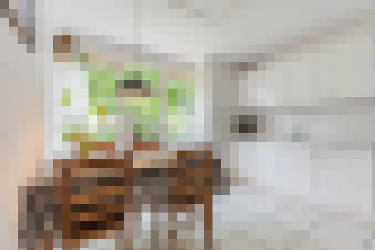 Jan Kneppelhoutdreef 3 Goirle thumbnail 12