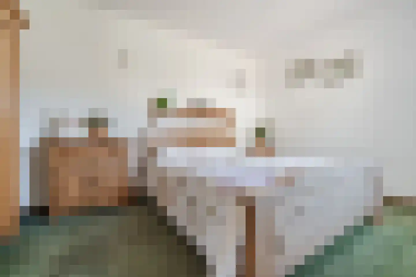 Jan Kneppelhoutdreef 3 Goirle thumbnail 17
