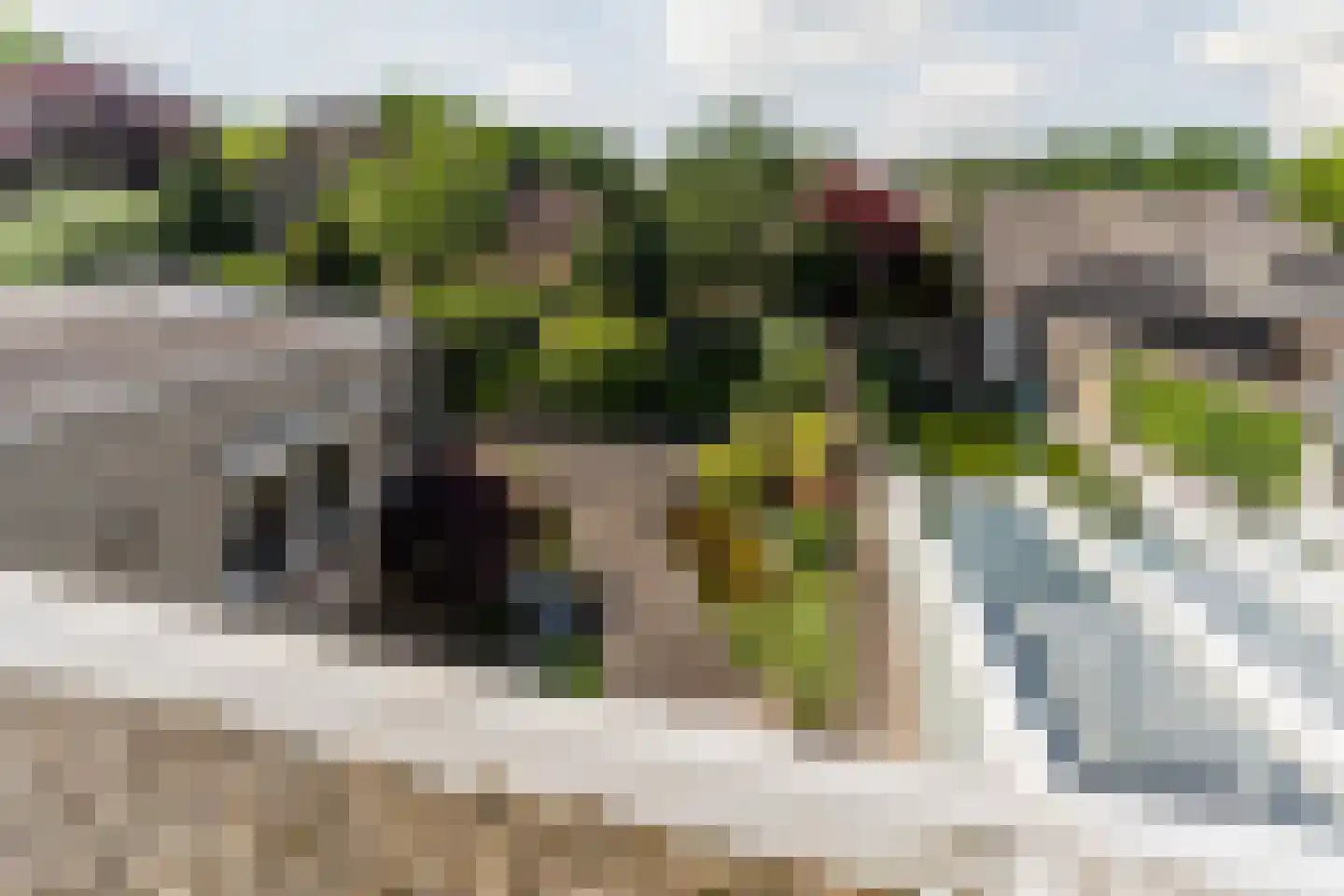 Jan Kneppelhoutdreef 3 Goirle thumbnail 31