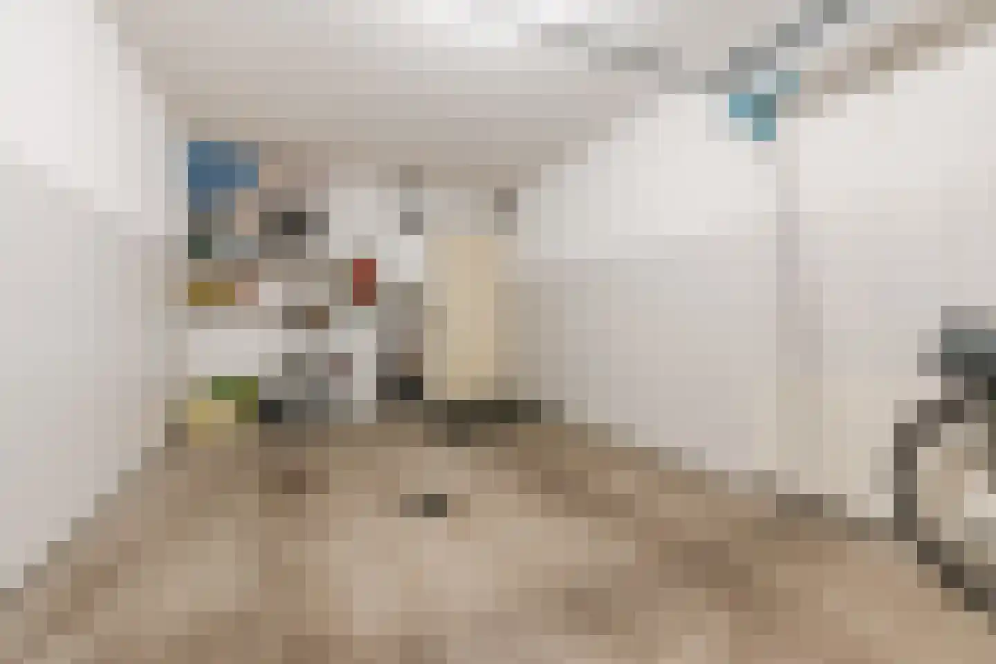Jan Kneppelhoutdreef 3 Goirle thumbnail 33