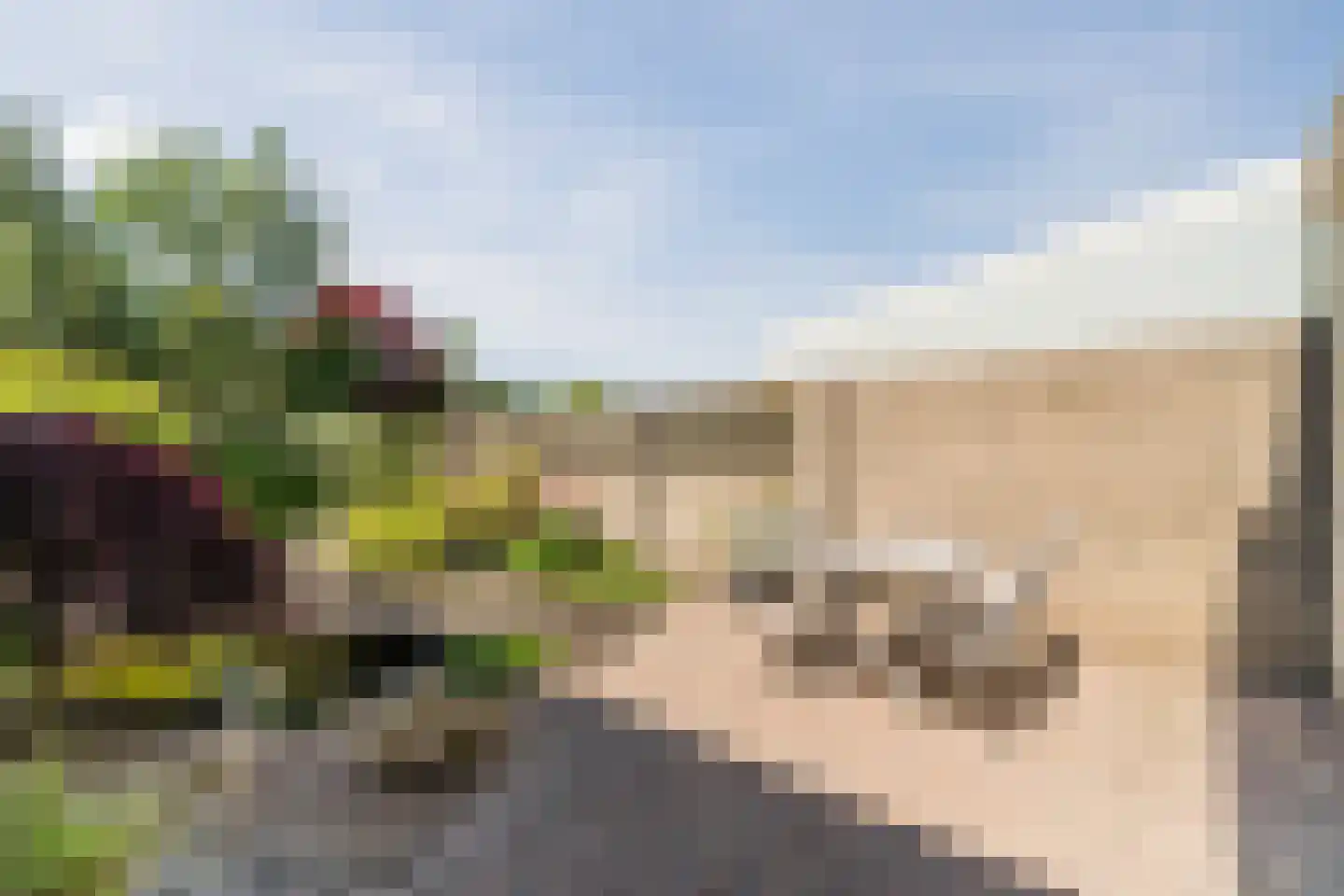 Jan Kneppelhoutdreef 3 Goirle thumbnail 34