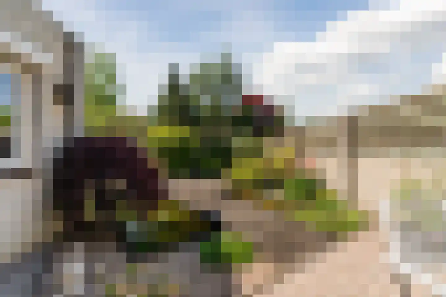 Jan Kneppelhoutdreef 3 Goirle thumbnail 35