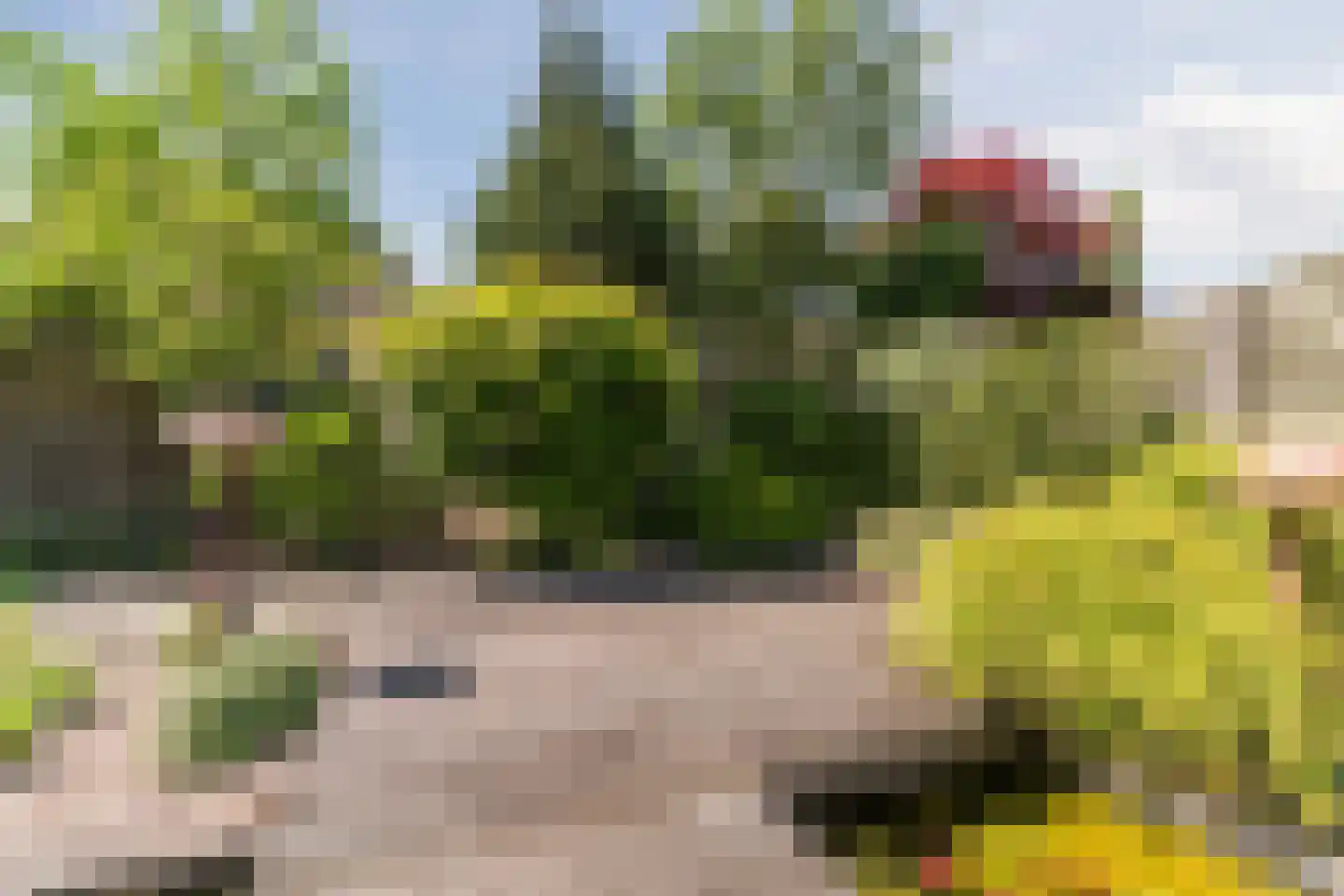 Jan Kneppelhoutdreef 3 Goirle thumbnail 38