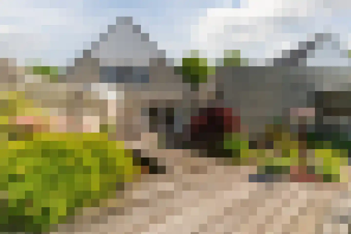Jan Kneppelhoutdreef 3 Goirle thumbnail 41
