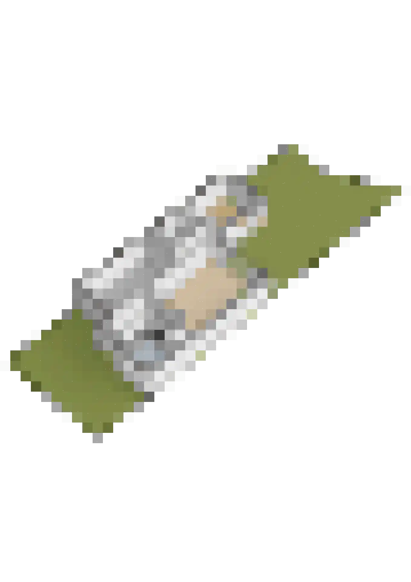 Jan Kneppelhoutdreef 3 Goirle thumbnail 52