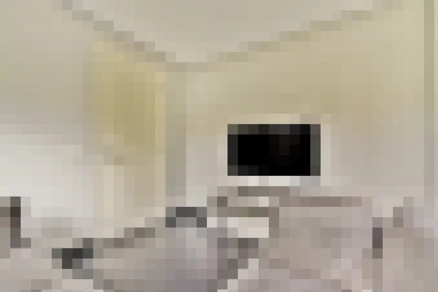Jan Kooijmanlaan 5 Rhoon thumbnail 11