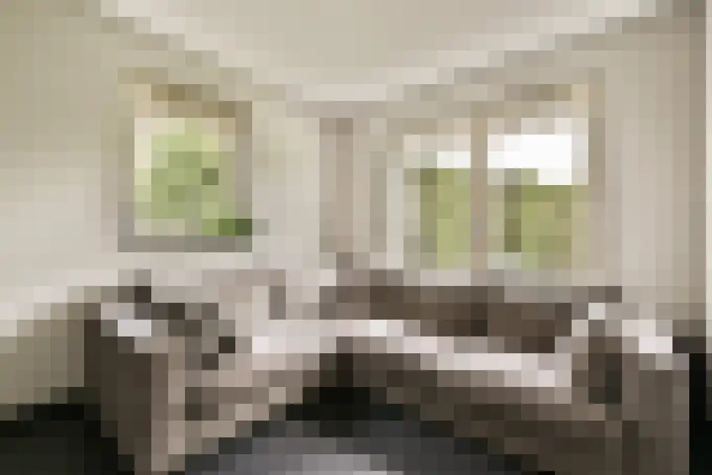 Jan Kooijmanlaan 5 Rhoon thumbnail 12
