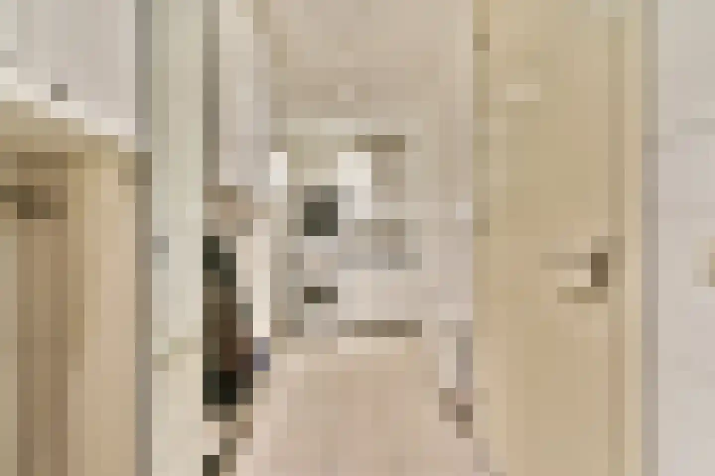 Jan Kooijmanlaan 5 Rhoon thumbnail 13