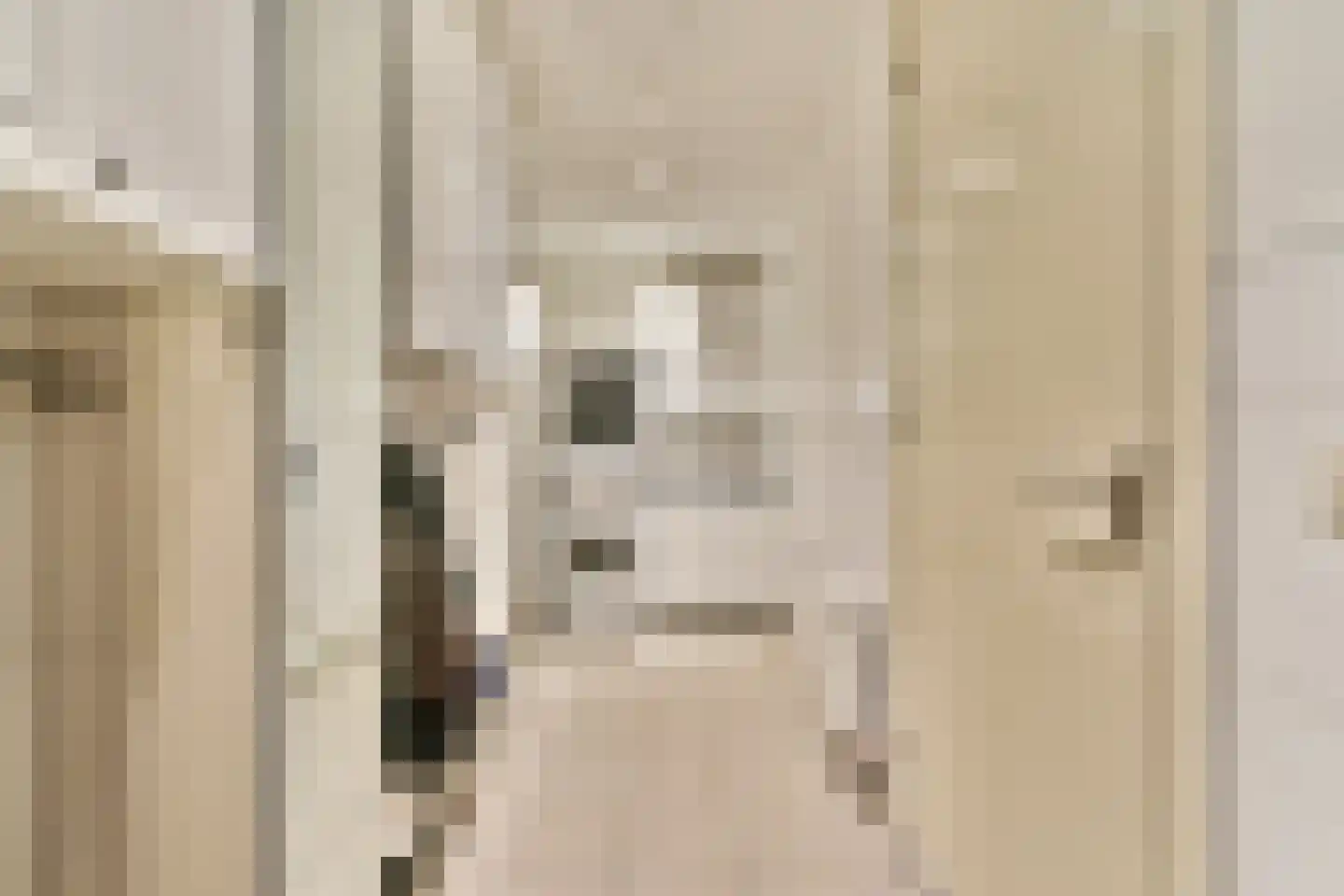 Jan Kooijmanlaan 5 Rhoon thumbnail 16