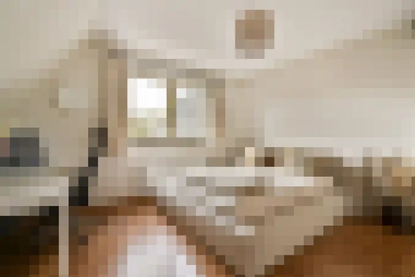 Jan Kooijmanlaan 5 Rhoon thumbnail 21