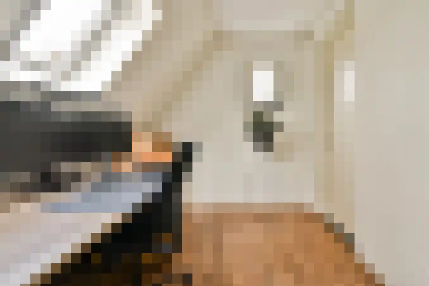 Jan Kooijmanlaan 5 Rhoon thumbnail 28