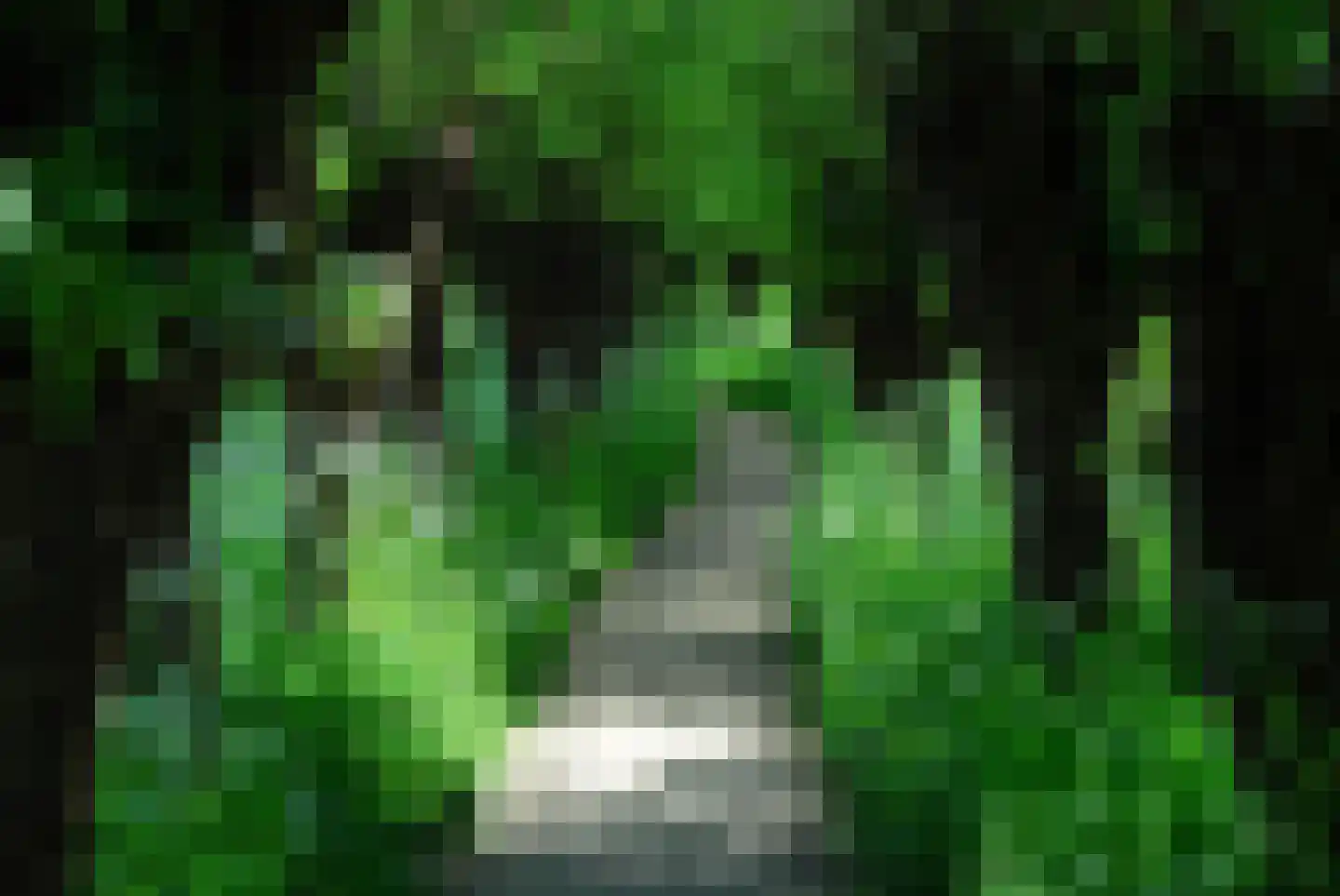 Jan Kooijmanlaan 5 Rhoon thumbnail 42