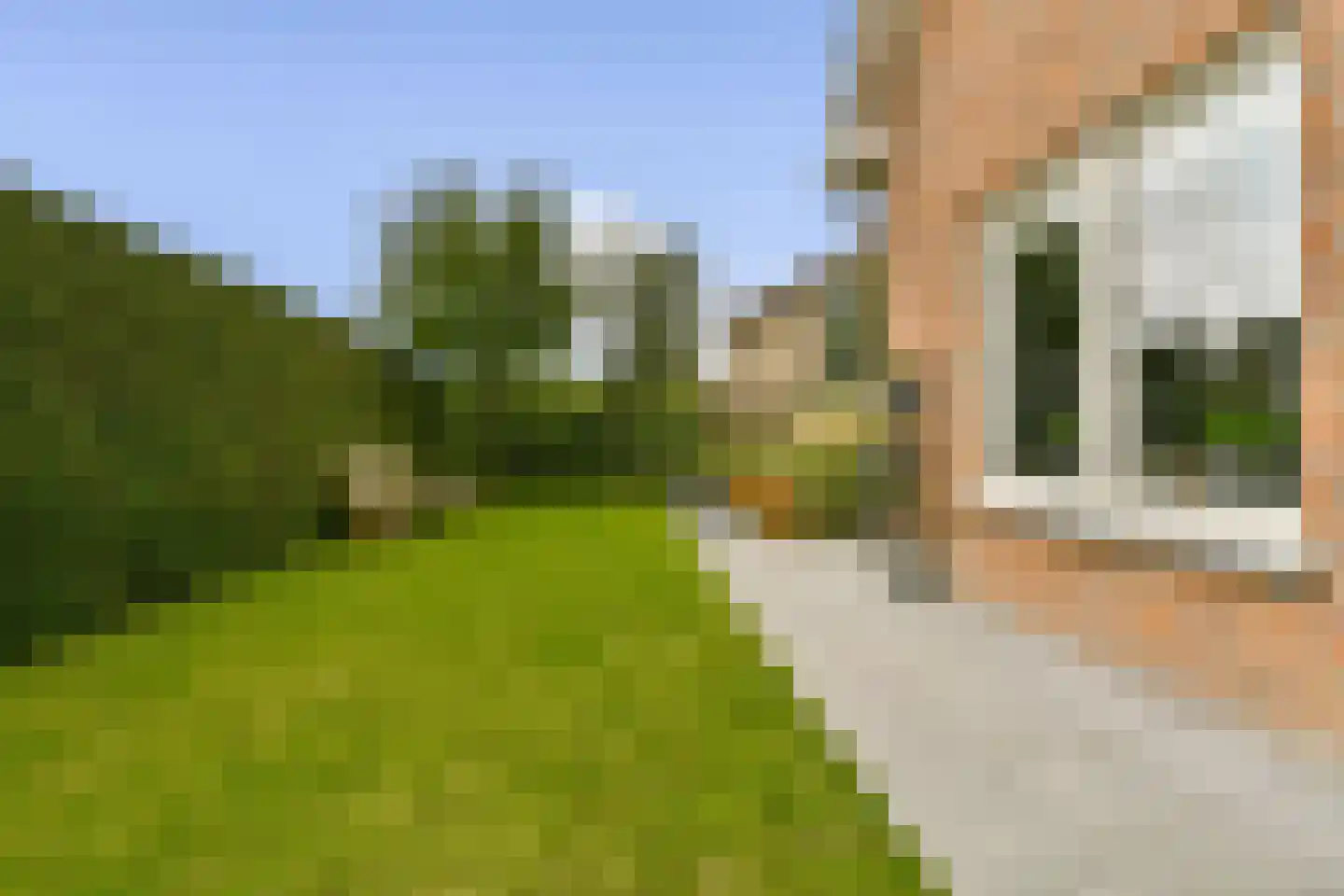 Jan Kooijmanlaan 5 Rhoon thumbnail 43