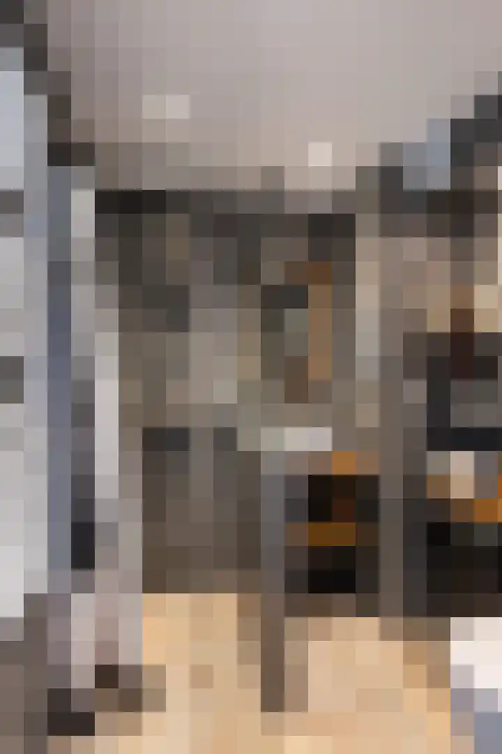 Jan Kooymanstraat 6 Rotterdam thumbnail 27