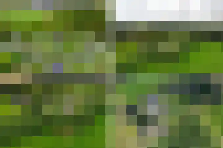 Jan Kreeftweg 5 in Hollandscheveld