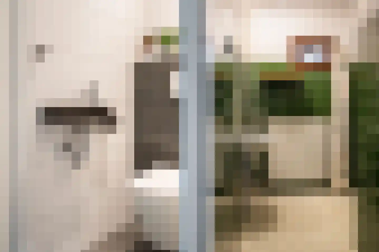 Jan Kreeftweg 5 Hollandscheveld thumbnail 17