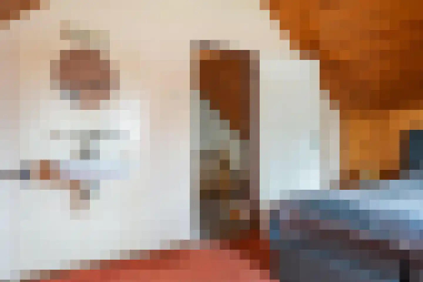 Jan Kreeftweg 5 Hollandscheveld thumbnail 20