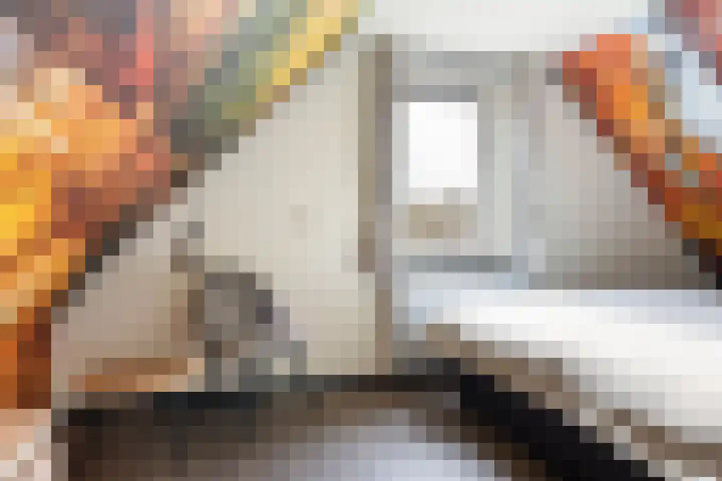 Jan Kreeftweg 5 Hollandscheveld thumbnail 31